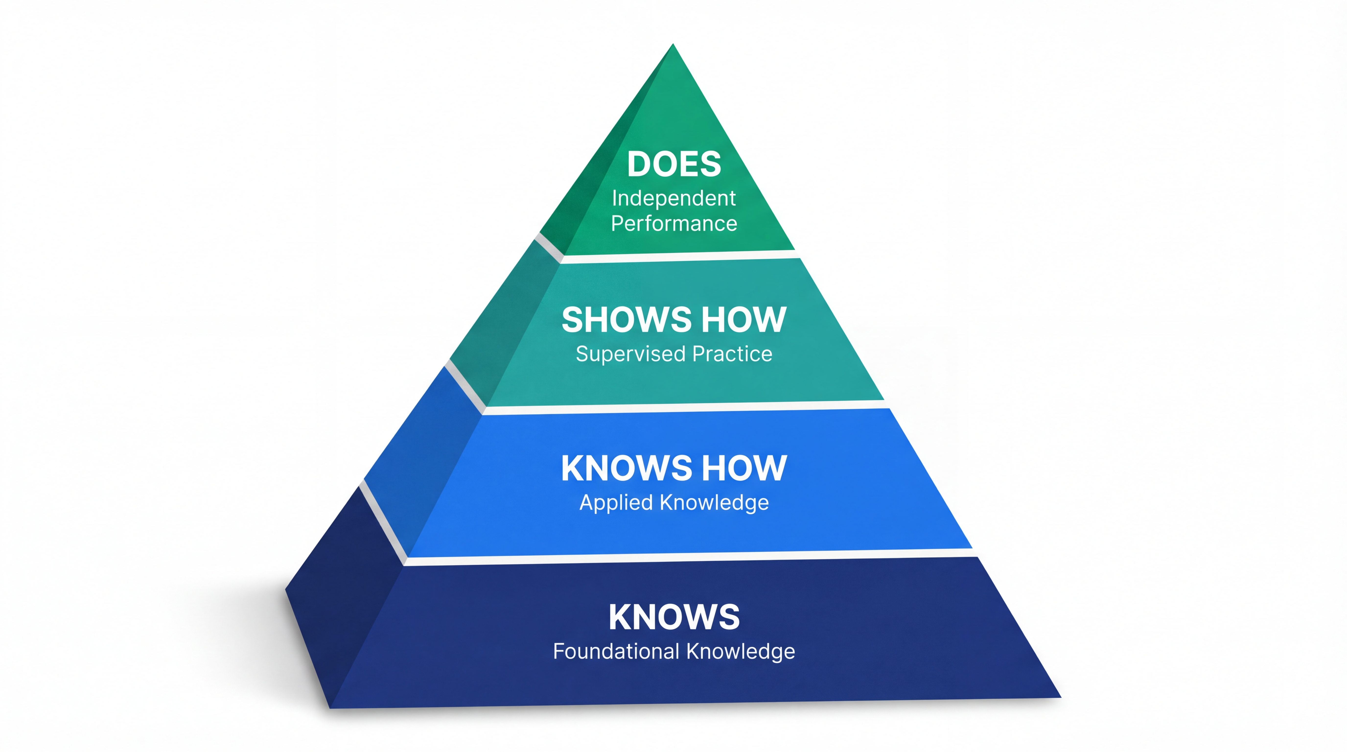 Modified Miller's Pyramid - 4 Clinical Competency Levels